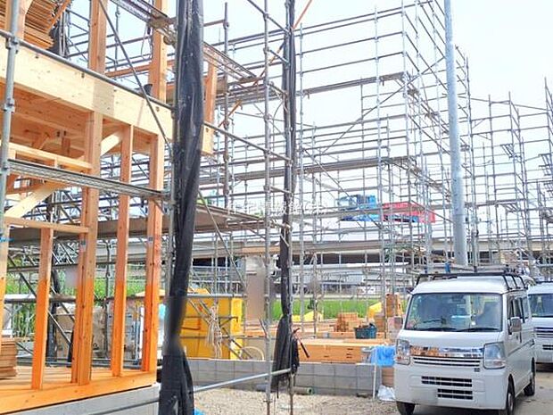 現地写真です。