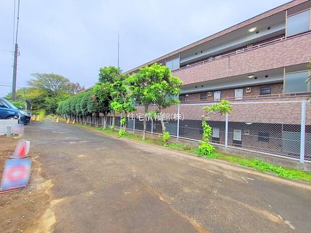 現地写真です。