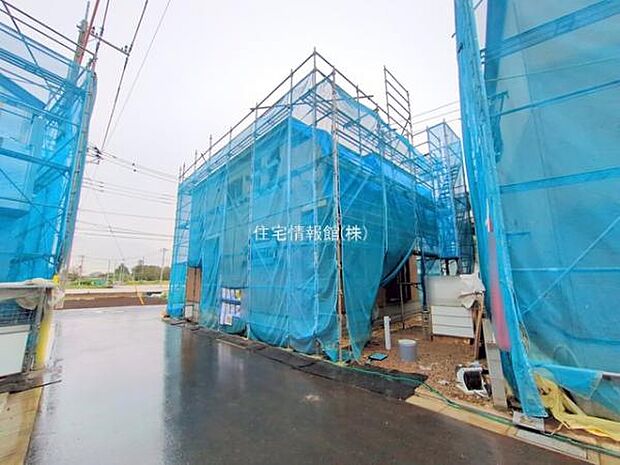 現地写真です。