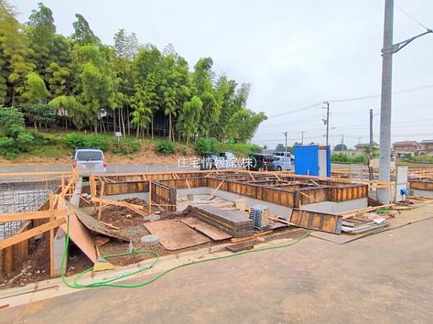 現地写真です。