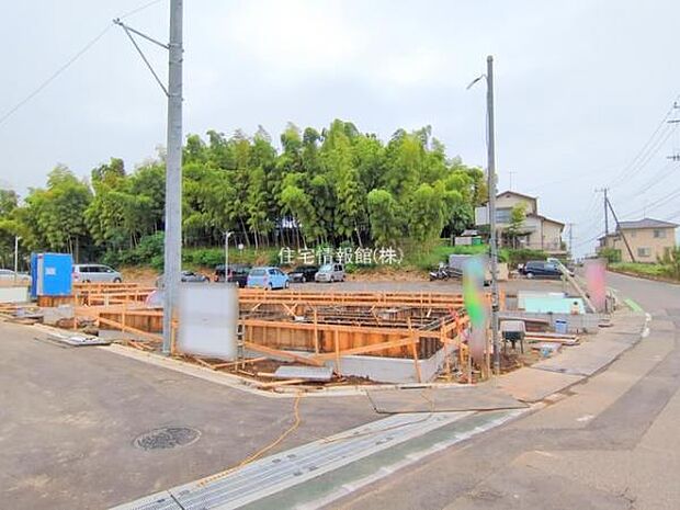 現地写真です。