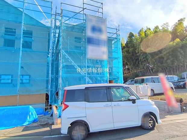 現地写真です。