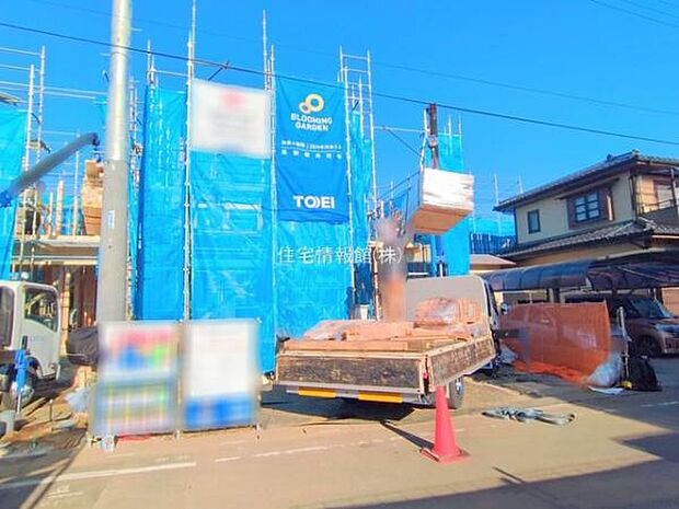 現地写真です。