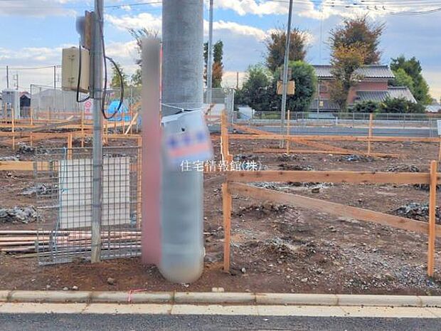 現地写真です。