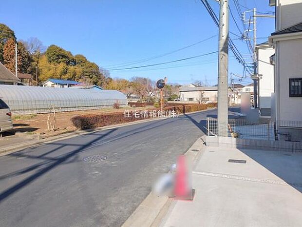 現地写真です。