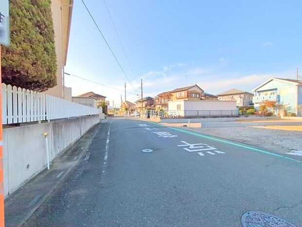 現地写真です。