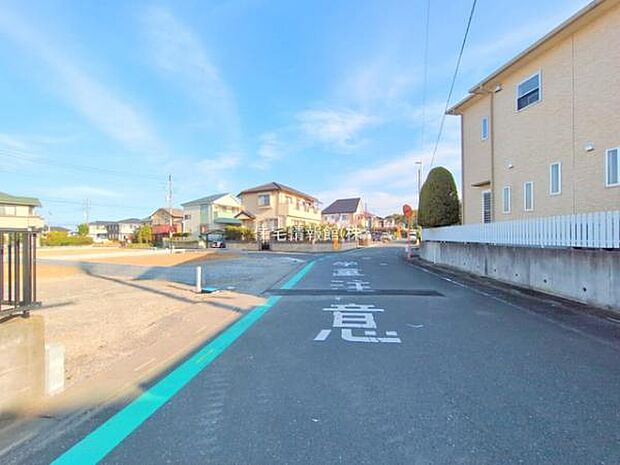 現地写真です。