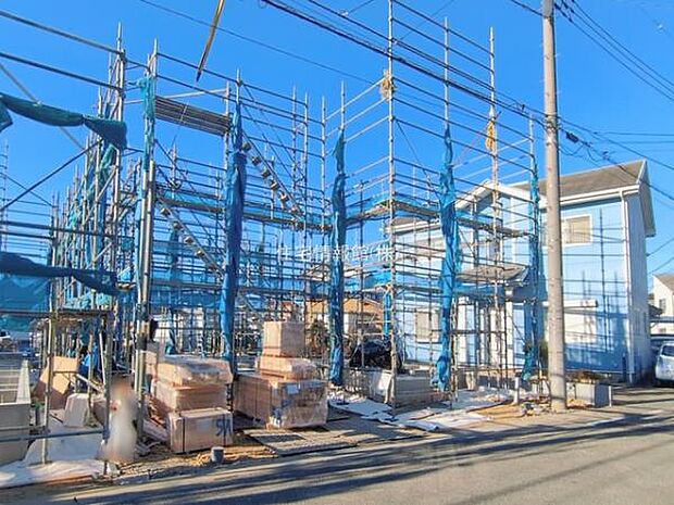 現地写真です。