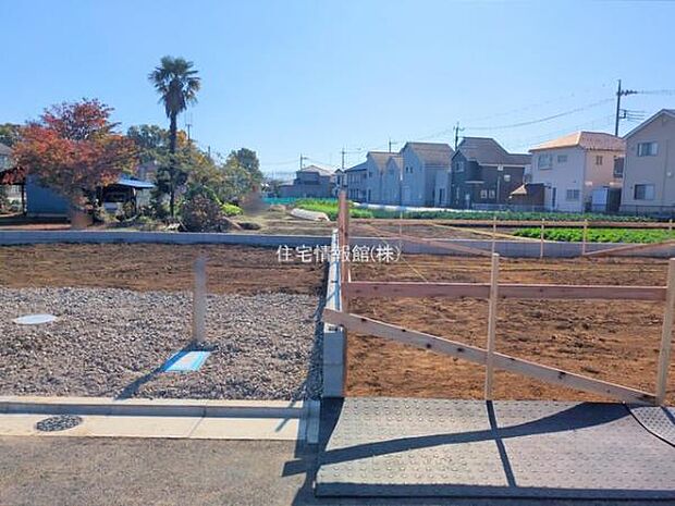 現地写真です。