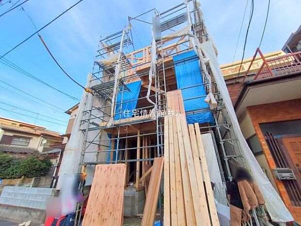 現地写真です。