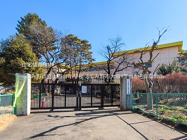 ふじみ野市立上野台小学校まで約920m（徒歩12分）