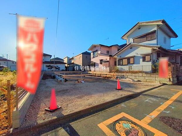 現地写真です。