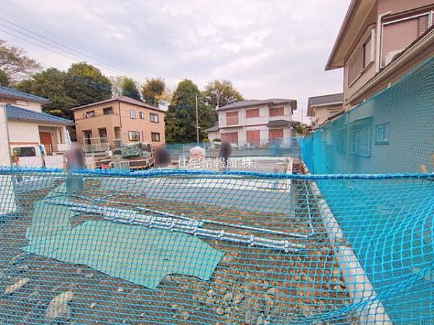 現地写真です。