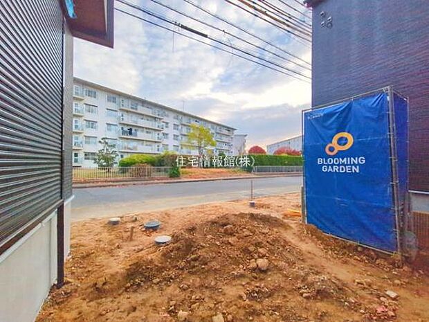 現地写真です。