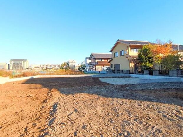 現地写真です。