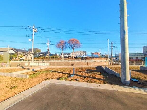 現地写真です。