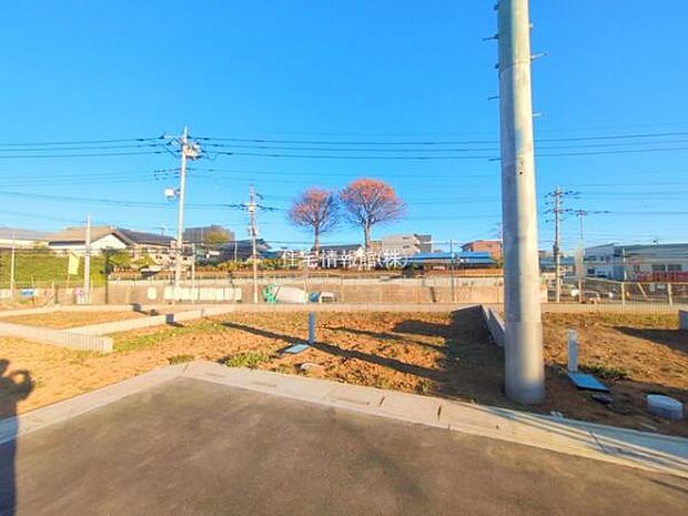 現地写真です。