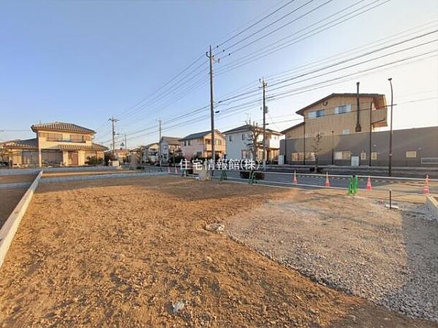 現地写真です。