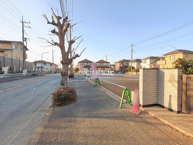 現地写真です。