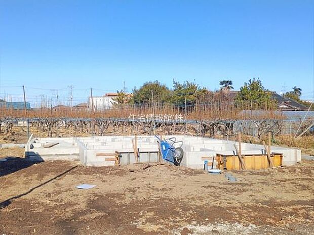 現地写真です。