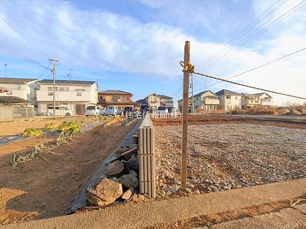 現地写真です。