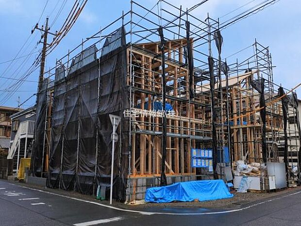 現地写真です。