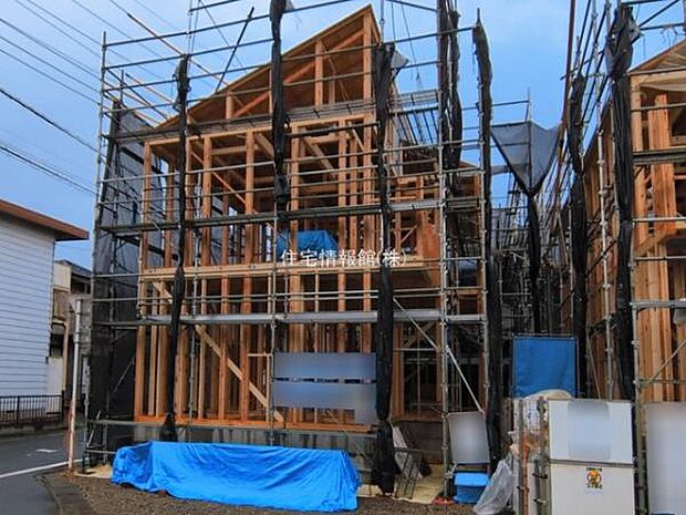 現地写真です。