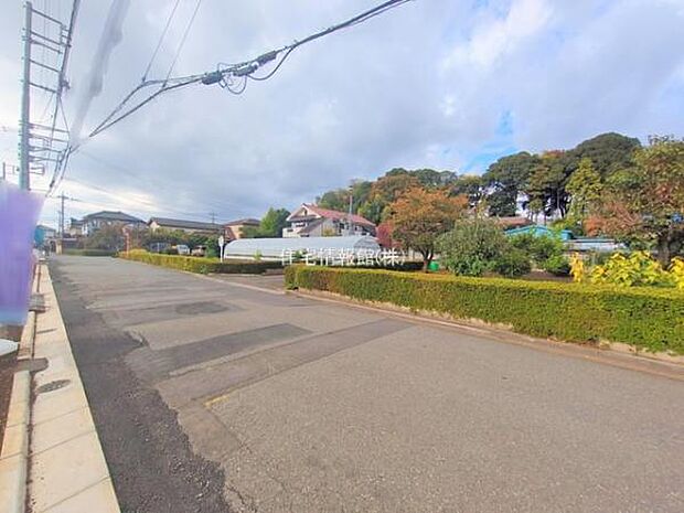 現地写真です。