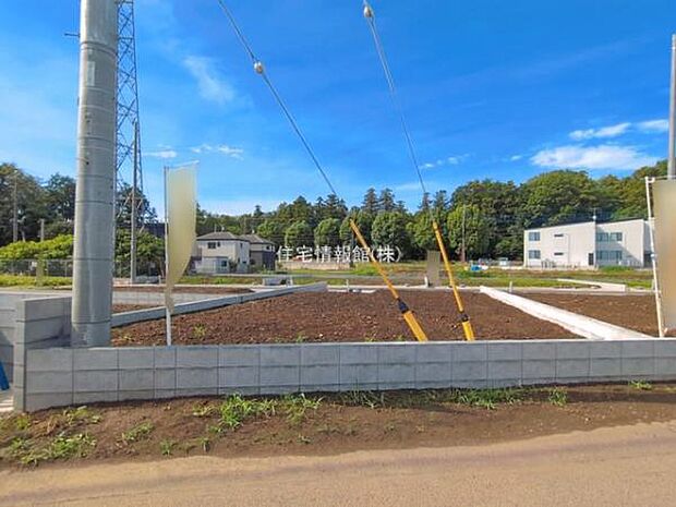 現地写真です。