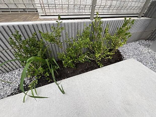 ちょっとした植栽が植えられます。