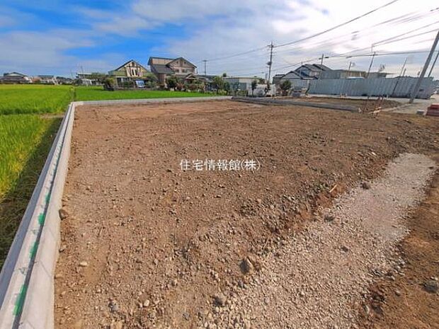 現地写真です。
