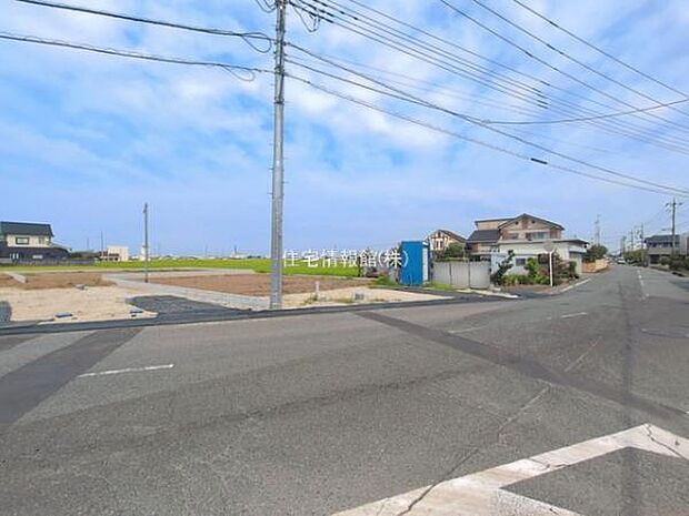 現地写真です。