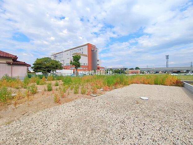 現地写真です。