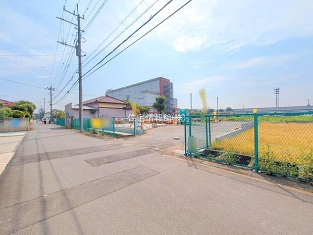 現地写真です。