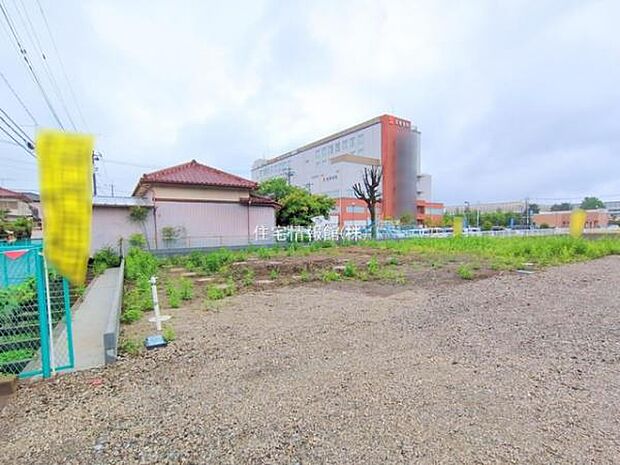 現地写真です。