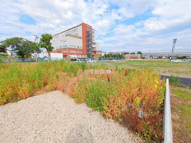 現地写真です。