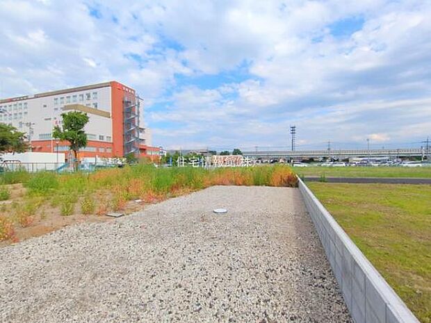 現地写真です。