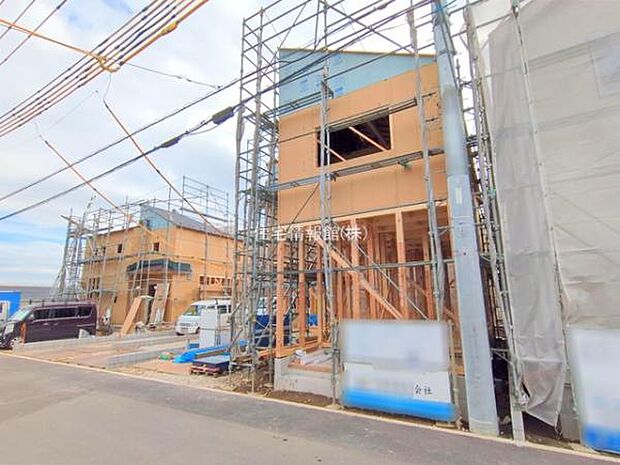 現地写真です。