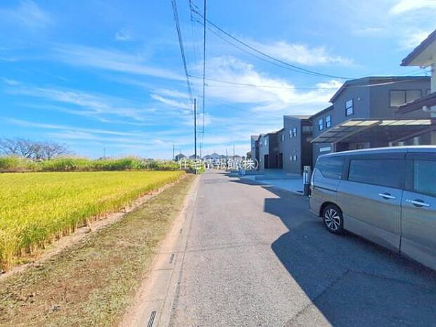 現地写真です。