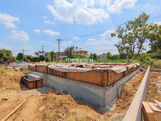 現地写真です。