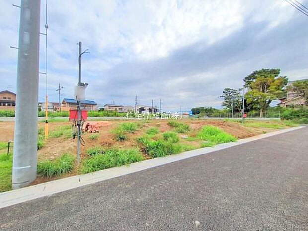 現地写真です。