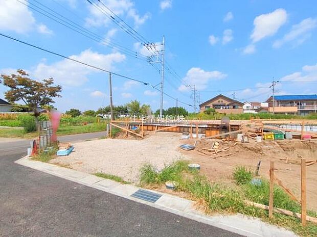 現地写真です。