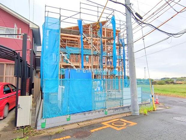 現地写真です。