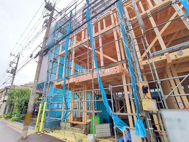 現地写真です。