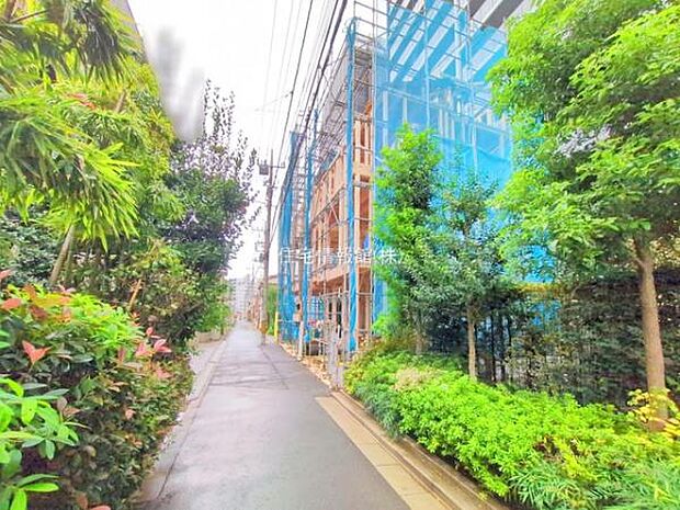 現地写真です。