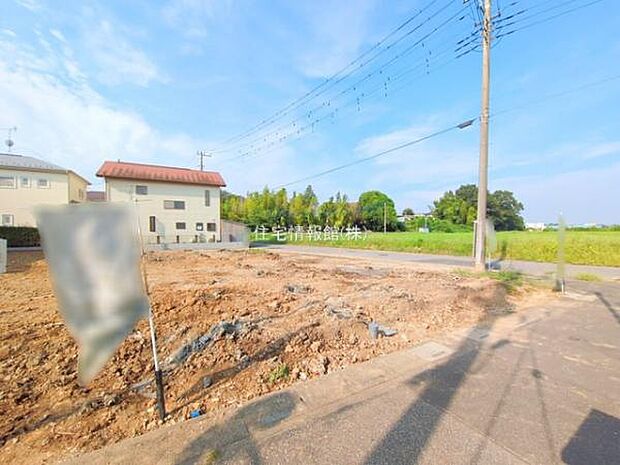 現地写真です。