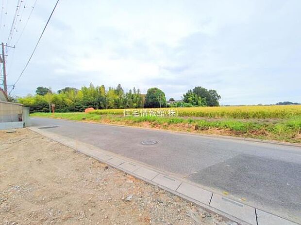 現地写真です。