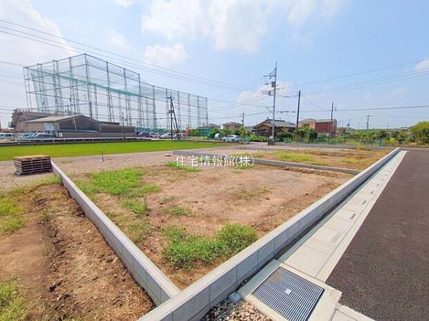 現地写真です。