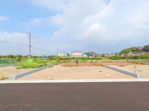 現地写真です。