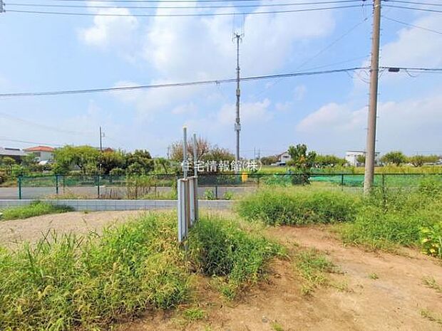 現地写真です。